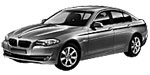 BMW F10 P3655 Fault Code